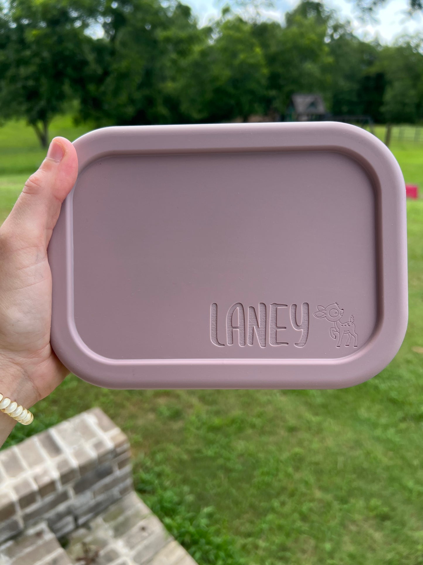 Silicone Lunchboxes